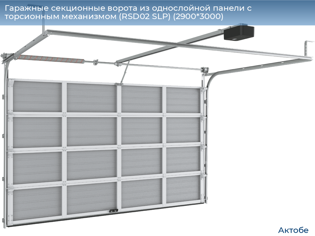 Гаражные секционные ворота из однослойной панели с торсионным механизмом (RSD02 SLP) (2900*3000), aktyubinsk.doorhan.ru