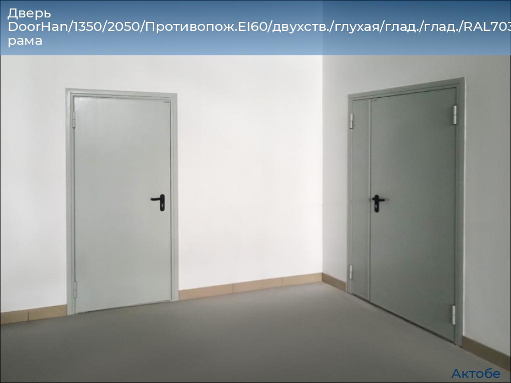 Дверь DoorHan/1350/2050/Противопож.EI60/двухств./глухая/глад./глад./RAL7035/прав./угл. рама, aktyubinsk.doorhan.ru