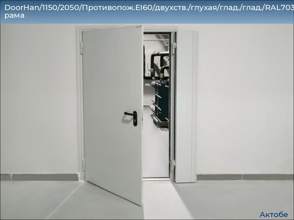 DoorHan/1150/2050/Противопож.EI60/двухств./глухая/глад./глад./RAL7035/лев./угл. рама, aktyubinsk.doorhan.ru