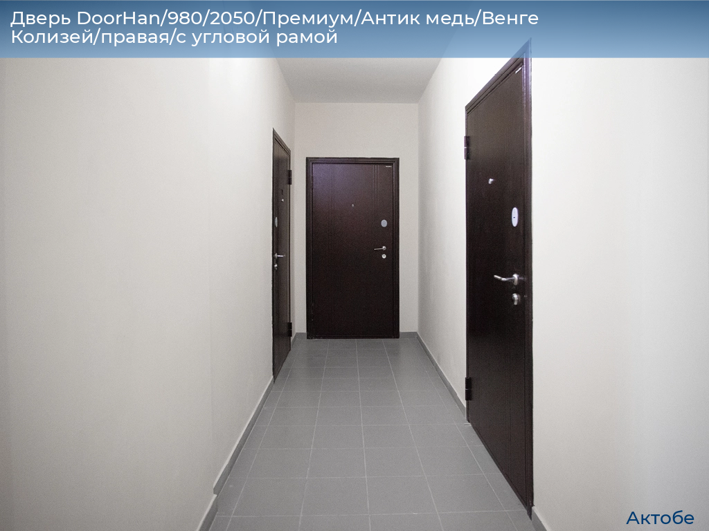 Дверь DoorHan/980/2050/Премиум/Антик медь/Венге Колизей/правая/с угловой рамой, aktyubinsk.doorhan.ru